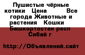 Пушистые чёрные котики › Цена ­ 100 - Все города Животные и растения » Кошки   . Башкортостан респ.,Сибай г.